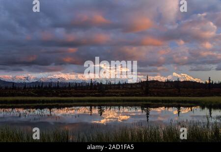 Denali ist der höchste Berg in Nordamerika/Denali National Park, Alaska Stockfoto