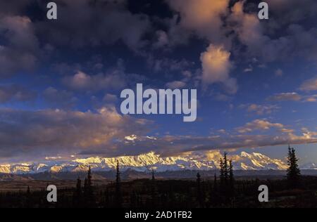 Denali ist der höchste Berg in Nordamerika/Denali National Park, Alaska Stockfoto