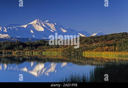 Mount Foraker spiegelt sich in der Reflexion Teich/Denali National Park, Alaska Stockfoto