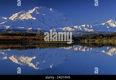 Denali und Mount Foraker spiegeln sich in der Reflexion Teich/Denali National Park, Alaska Stockfoto