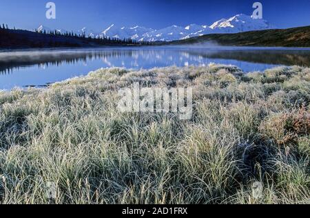 Blick am Morgen über das Wunder See zum Denali/Denali National Park, Alaska Stockfoto