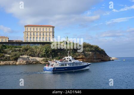 Tour Boot oder Bootsfahrt zu den Calanques Verlassen der Vieux Port, der alte Hafen, & Palais du Pharo (1858) oder Pharo Palace & Garten oder Gärten, Marseille Stockfoto