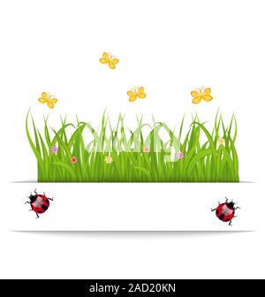 Frühlingscard mit Rasen, Blumen, Schmetterling, Marienkäfer Stockfoto