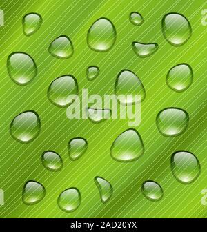 Wassertropfen auf frische grüne Textur des Blattes Stockfoto
