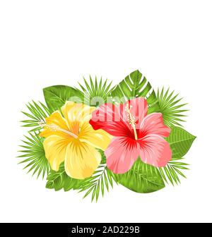 Schöne bunte Hibiskus Blumen blühen und tropische Blätter Stockfoto