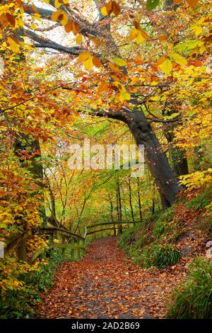 Herbstliche Farben auf dem Wanderweg entlang des Flusses Cramond in der Nähe von Edinburgh, Schottland. Stockfoto