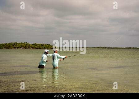 Ambergris Caye, Belize - November, 16, 2019. Ein belizean Fishing Guide unter Hinweis auf die Schule der bonefish auf die Wohnungen auf der kleinen Insel der Karibik. Stockfoto