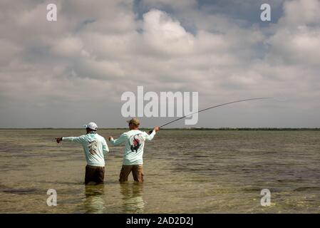 Ambergris Caye, Belize - November, 16, 2019. Ein belizean Fishing Guide unter Hinweis auf die Schule der bonefish auf die Wohnungen auf der kleinen Insel der Karibik. Stockfoto