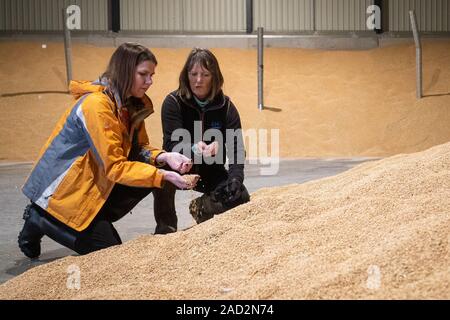 Jo Swinson und Landwirt Christy Willett als Liberaldemokraten Besuche, die einen ackerbaubetrieb in Galleywood außerhalb von Chelmsford die Auswirkungen der Brexit und Donald Trump Handelsabkommen zu diskutieren. Stockfoto