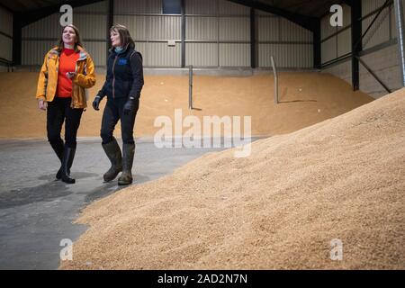 Jo Swinson und Landwirt Christy Willett als Liberaldemokraten Besuche, die einen ackerbaubetrieb in Galleywood außerhalb von Chelmsford die Auswirkungen der Brexit und Donald Trump Handelsabkommen zu diskutieren. Stockfoto