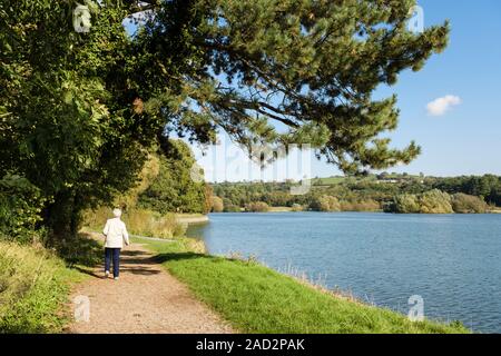 Pfad um Blagdon See Stausee der Mendip Hills mit älteren Frau wandern. Blagdon, Bristol, Somerset, England, Großbritannien, Großbritannien Stockfoto