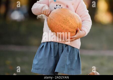 Kleines Mädchen hält einen großen Kürbis in ihren Händen im Herbst Tag. Halloween Party. 7/8-Foto Stockfoto