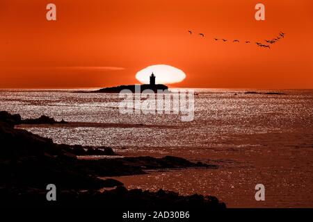 Lighthouse, Flatey island in Breidafjordur Stockfoto