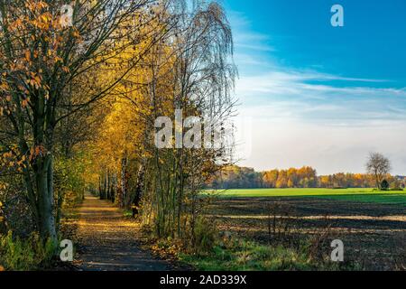 Die historische Mauerweg Pfad in Berlin Frohnau auf einem hellen, sonnigen Herbsttag mit schönen farbigen Bäume Stockfoto