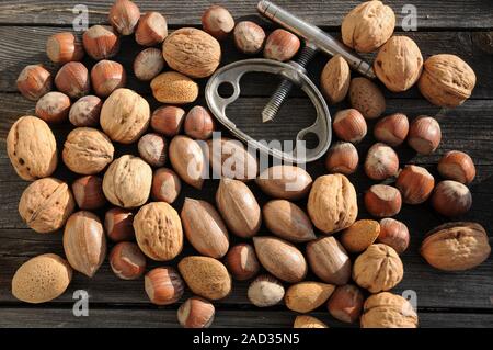 Carya illinoinensis, Corylus avellana, Juglans regia, Prunus dulcis, Pecan, Haselnuss, Walnuss, Mandel Stockfoto