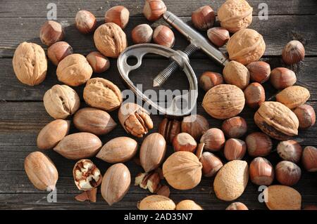 Carya illinoinensis, Corylus avellana, Juglans regia, Prunus dulcis, Pecan, Haselnuss, Walnuss, Mandel Stockfoto