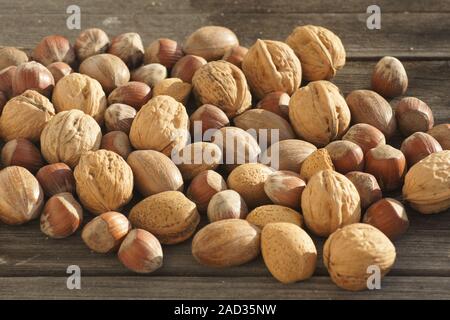 Carya illinoinensis, Corylus avellana, Juglans regia, Prunus dulcis, Pecan, Haselnuss, Walnuss, Mandel Stockfoto