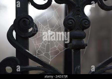 Das Spinnennetz mit Raureif auf einem alten Eisen Zaun Stockfoto