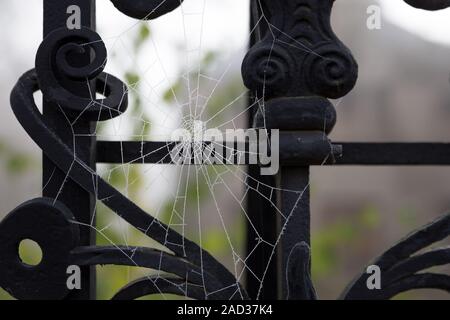 Das Spinnennetz mit Raureif auf einem alten Eisen Zaun Stockfoto