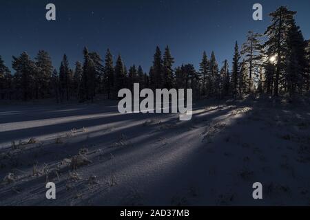 Mondbeschienene Winterlandschaft, muddus Nationalpark, Lappland, Schweden Stockfoto