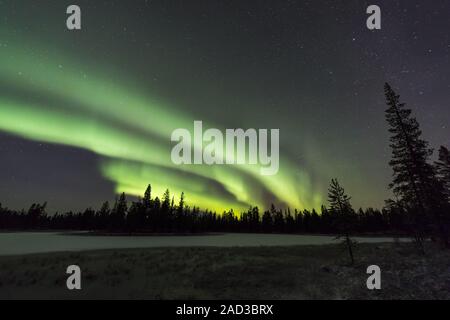 Nordlichter (Aurora Borealis), muddus Nationalpark, Lappland, Schweden Stockfoto