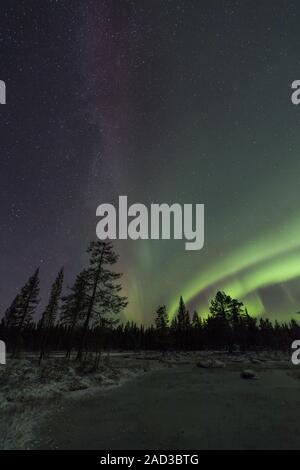 Nordlichter (Aurora Borealis), muddus Nationalpark, Lappland, Schweden Stockfoto