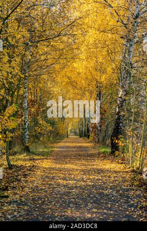 Die historische Mauerweg Pfad in Berlin Frohnau auf einem hellen, sonnigen Herbsttag mit schönen farbigen Bäume Stockfoto