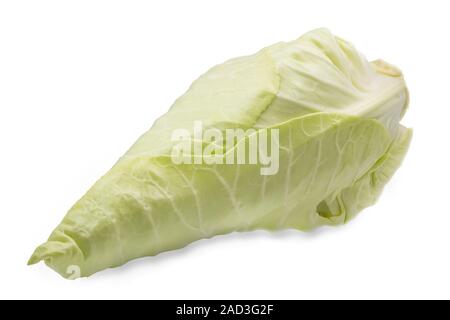 Ganze Spitzkohl auf weißem Hintergrund Stockfoto
