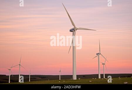 Dunlaw Windpark, Soutra Hill, Schottland, Großbritannien. 3. Dezember 2019. Kühlen Nachmittag, aber milde im Vergleich zu den vergangenen Wochenende kurz vor Sonnenuntergang den Himmel zeigen Pastellfarben hinter und um die riesigen Turbinen. Stockfoto