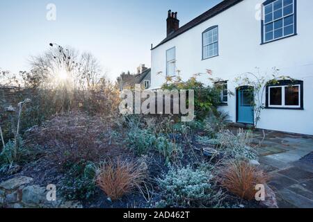 Staudenbeet im Garten eines denkmalgeschützten Hauses an einem frostigen Wintermorgen. Bristol. UK. Stockfoto