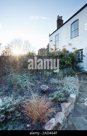 Staudenbeet im Garten eines denkmalgeschützten Haus mit modernem Anbau, an einem frostigen Wintermorgen. Bristol. UK. Ornamental Gras im Vordergrund ist Stockfoto