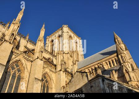 Die gotische Kathedrale von York gebadet in warmen Nachmittag Licht, North Yorkshire, England, Großbritannien Stockfoto