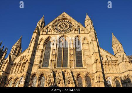 Die gotische Kathedrale von York gebadet in warmen Nachmittag Licht, North Yorkshire, England, Großbritannien Stockfoto