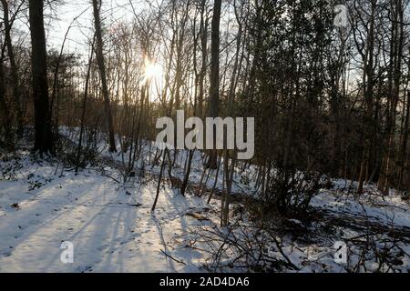 Sonne scheint durch die Bäume, Das Cotswold Way Fuß Pfad im Schnee Stockfoto