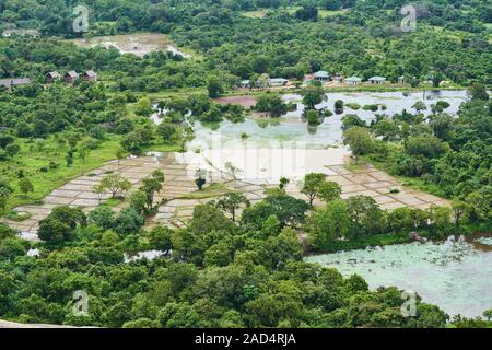 Feuchtgebiet und und in der Landwirtschaft um Sigiriya Felsen von oben Stockfoto