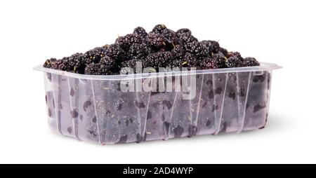 Mulberry in einer Plastikschale gedreht Stockfoto
