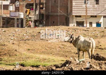 Union Carbide Chemical Plant, Bhopal, Indien Stockfoto