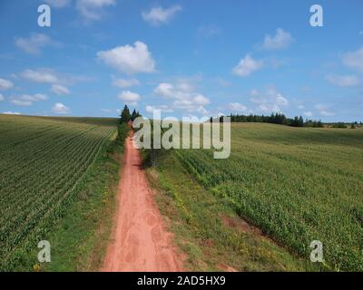 Luftaufnahme von einer Roten Piste überqueren ein Feld, Prince Edward Island, Kanada Stockfoto