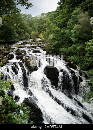 Swallow Falls (Rhaeadr Ewynnol), Betws-y-Coed, Conwy, North Wales, UK Stockfoto