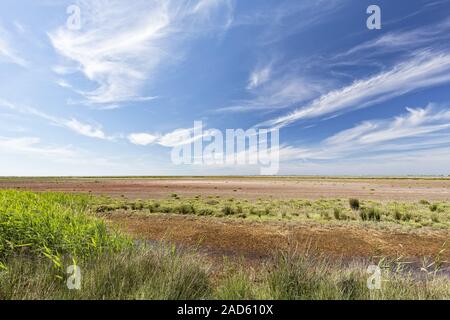 Typische Landschaft im Süden der Camargue, Südfrankreich. Stockfoto