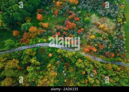 Beeindruckende Luftaufnahme der Straße mit Autos zwischen bunten Herbst Wald Stockfoto