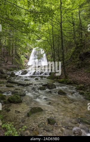 Josefstal Wasserfall im Spitzingsee, Bayern Stockfoto