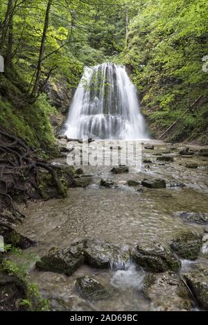 Josefstal Wasserfall im Spitzingsee, Bayern Stockfoto