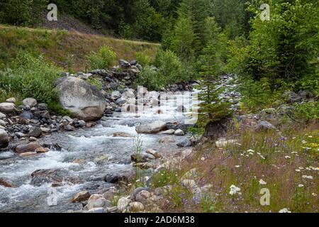 Tischler Creek fließt durch verlassene Bergbau Ghost Town von Sandon, Slocan Valley, West Kootenay, British Columbia, Kanada Stockfoto