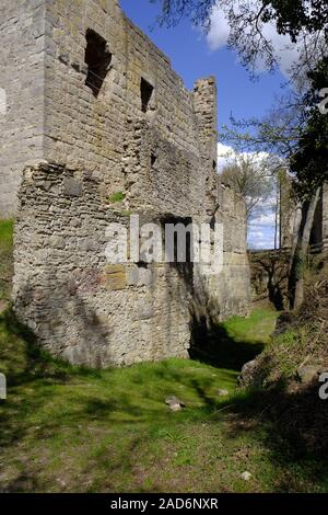 Burgruine Homburg und Homburg Ruine Nature Reserve, Unterfranken, Franken, Bayern, Deutschland Homburg Burgruine und Hombur Stockfoto