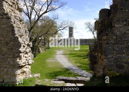 Burgruine Homburg und Homburg Ruine Nature Reserve, Unterfranken, Franken, Bayern, Deutschland Homburg Burgruine und Hombur Stockfoto