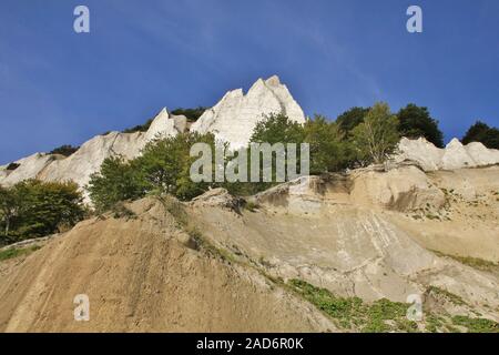 Bäume wachsen auf Moens Klint. Einzigartige Kalksteinfelsen in Seeland, Dänemark. Stockfoto