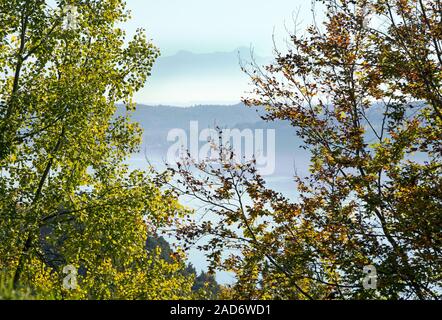 Blick über den Bodensee bis zu Altmann und Säntis, Schweiz Stockfoto