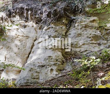 Auf den steilen Sandsteinfelsen slop aus Sipplingen am Bodensee Stockfoto