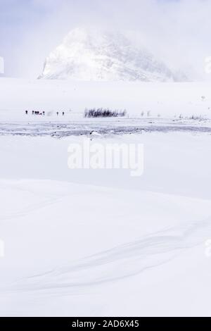 Skifahrer auf Tour in Snow Drift, Stuor Reaiddavaggi, Lappland, Schweden Stockfoto